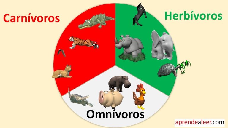 La serpiente es carnivoro herbivoro o omnivoro