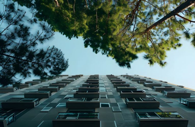 Arquitectura sostenible: Construyendo el futuro
