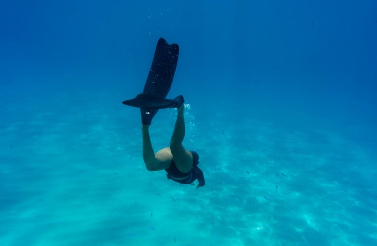 La creciente demanda de viajes de buceo revela un turismo responsable y sostenible