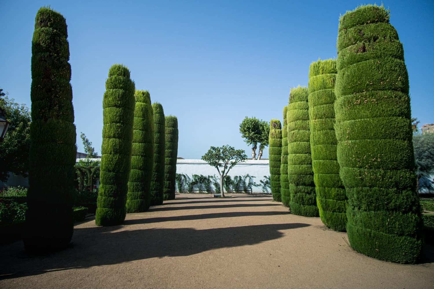 Paisajista en Mallorca la tendencia que transforma espacios exteriores en auténticos oasis de bienestar