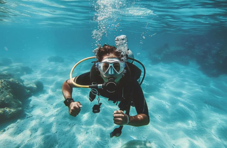 Tenerife se consolida internacionalmente como el destino de referencia para el turismo de buceo en Europa