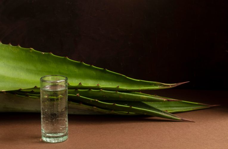Qué ventajas tiene el aloe vera para la salud