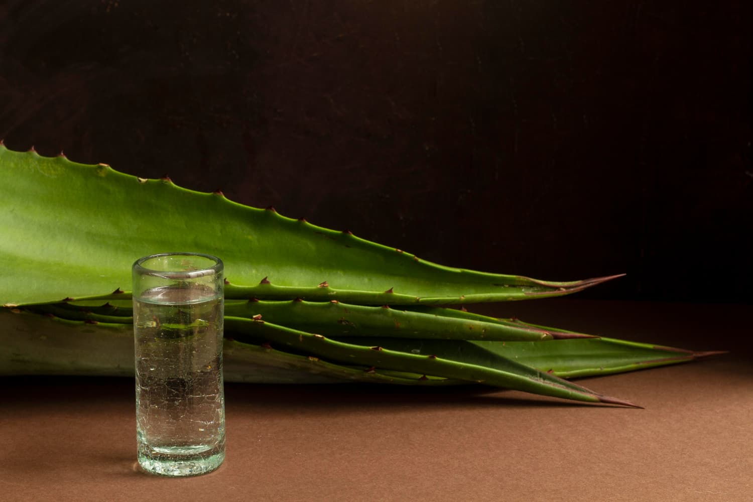 Qué ventajas tiene el aloe vera para la salud